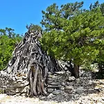 Apartamento Le Mimose