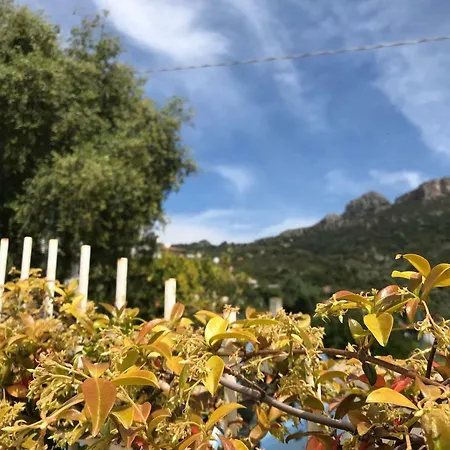 Le Mimose * Santa Maria Navarrese