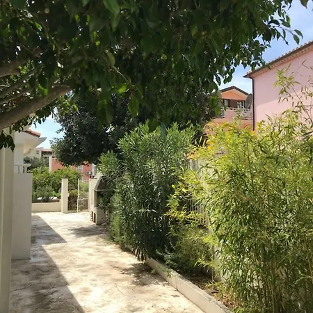 Le Mimose Apartment *