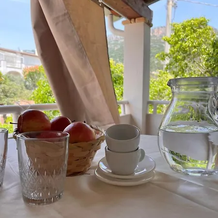 Le Mimose 圣玛丽亚纳瓦雷