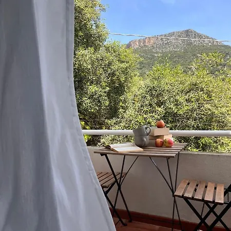 Le Mimose * 圣玛丽亚纳瓦雷