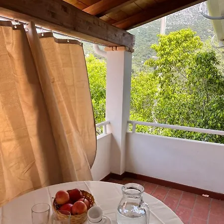 Le Mimose * 圣玛丽亚纳瓦雷