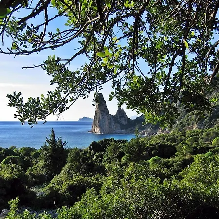 Le Mimose * 圣玛丽亚纳瓦雷