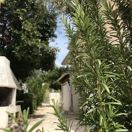 Lejlighed Le Mimose *